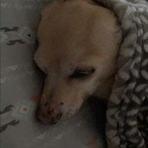 Meet your Posher, Isaac